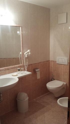 a bathroom with a sink and a toilet and a mirror at Hotel Garnì Gardena - Appartments in Santa Cristina Gherdëina