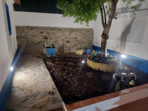 a pond with a tree in a room with lights at Casa do Cabeço - Termas da Sulfúrea in Cabeço de Vide
