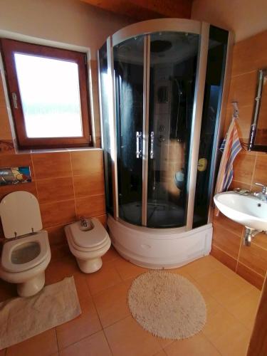 a bathroom with a shower and a toilet and a sink at Chata Porubka in Liptovský Mikuláš