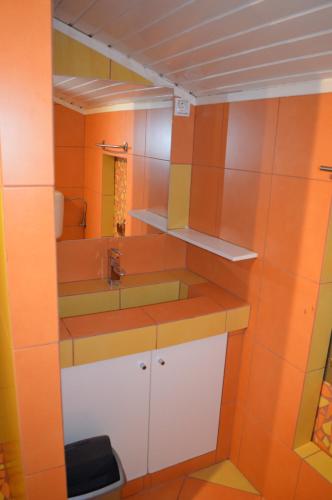 a bathroom with a sink and a mirror at Apartments Kivi in Novigrad Istria