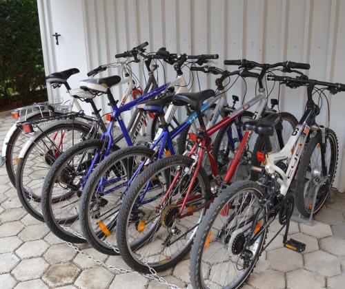 um grupo de bicicletas estacionadas um ao lado do outro em Apartments Kivi em Novigrad