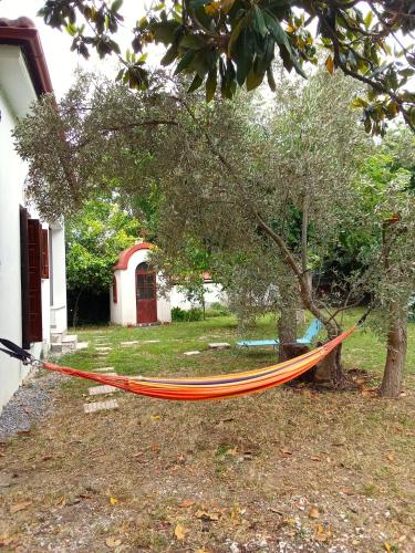 an orange hammock hanging from a tree in a yard at Chapel`s House in Pteleós