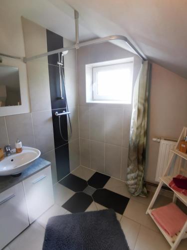 ein Bad mit einer Dusche und einem Waschbecken in der Unterkunft Kleine Auszeit in Amelinghausen