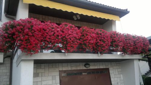 a bunch of red flowers on a building at Apartment near the center - Nada in Malinska