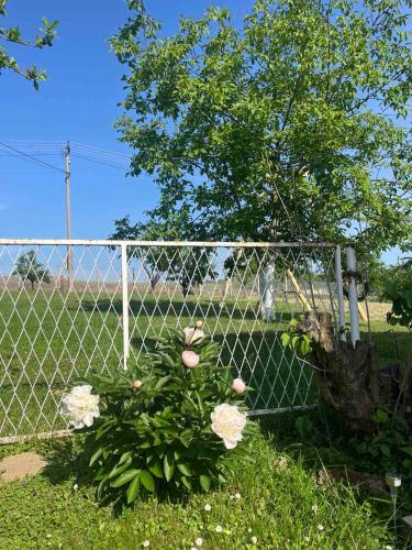 a fence with pink flowers in front of a tree at Vikendica Živković in Lazarevac