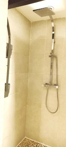 une douche avec pommeau de douche dans une salle de bain dans l'établissement appart centre historique Picasso, à Vallauris