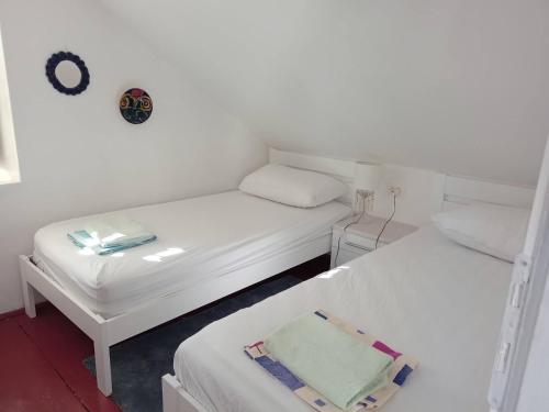 Bonaca apartment and rooms