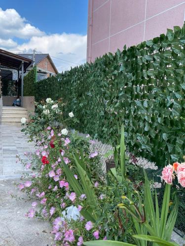 a garden of flowers in front of a building at Villa GJOKA in Berat