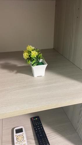 a plant sitting on a shelf next to a remote control at La Stradina in Barletta
