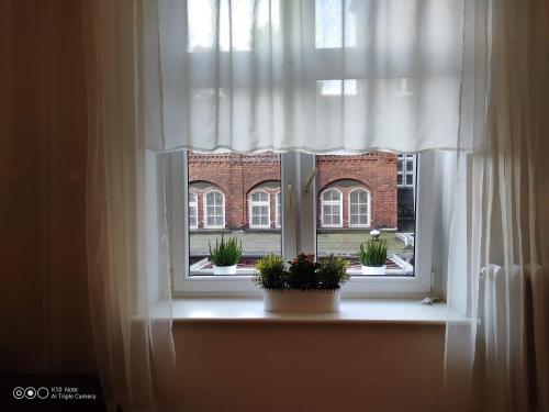 Łąkowa Apartment