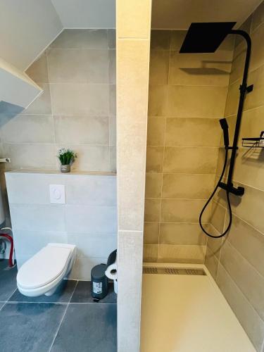 a bathroom with a toilet and a shower at Maison d’Ans in Ans