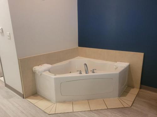 Gambar di galeri bagi Comfort Inn & Suites Dothan Northside Plaza di Dothan