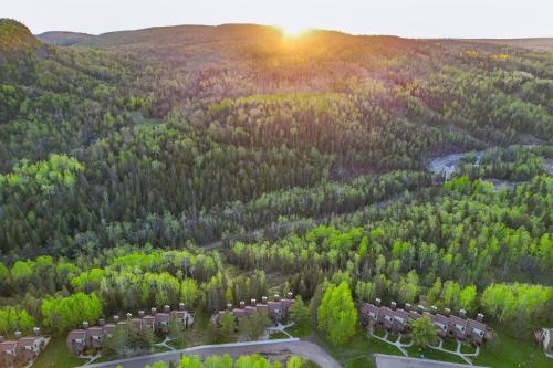 an aerial view of a forest of trees at Cozy Alpine Escape Ski-InandOut at Lutsen Mtns in Lutsen