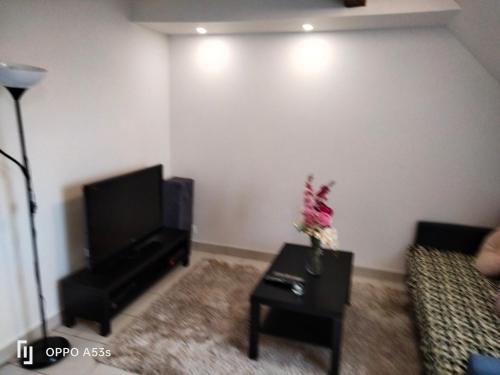 Appartement familial proche château