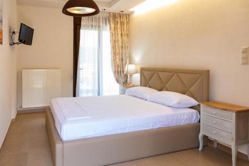 ALKIS LUXURY VILLA IRAKLiTSA