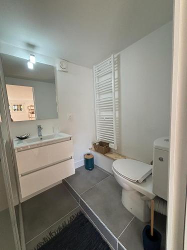 une salle de bain avec toilettes, lavabo et miroir dans l'établissement Chambre cosy chez Isabelle, à Royan