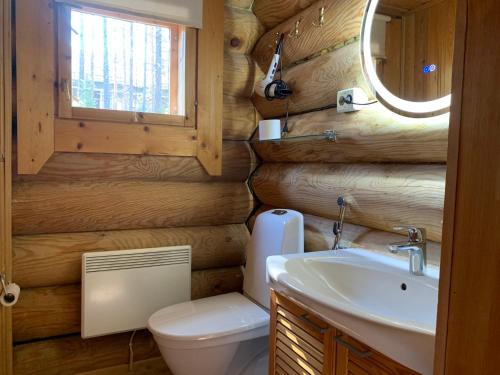 a bathroom with a toilet and a sink and a mirror at Ruska 2, Ylläs - Log Cabin with Lake and Fell Scenery in Äkäslompolo
