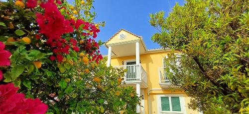 Κήπος έξω από το Villa Lourdata