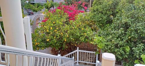 Κήπος έξω από το Villa Lourdata