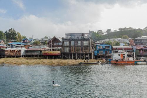 a swan swimming in the water in front of houses at Palafito 1326 Hotel Boutique Chiloé in Castro