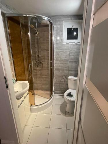 a bathroom with a shower and a toilet and a sink at Kuźnia Muntowo in Mrągowo