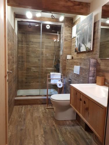 a bathroom with a shower and a toilet and a sink at Die Alte Scheune by Globalimmoservice in Bad Kleinkirchheim
