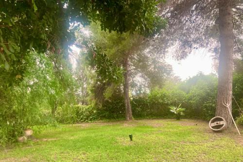 a park with a tree and a tire in the grass at Yurta Arco Iris in Riba-Roja De Turia