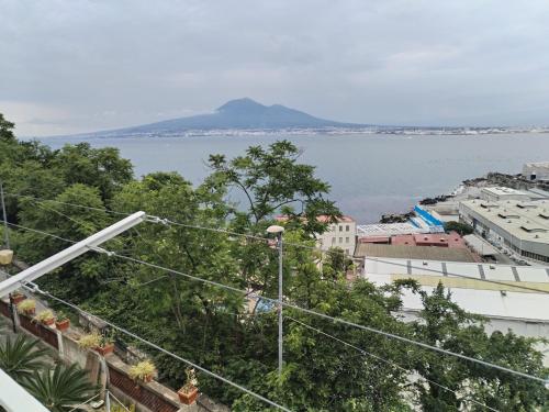 una vista de una masa de agua con árboles y edificios en La dimora sul mare, en Castellammare di Stabia