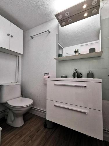 une salle de bain avec toilettes, lavabo et miroir dans l'établissement Résidence Hawai 1 - VILLA T1 CAB MEZZ 5 couchages PORT LEUCATE MAE-6964, à Leucate