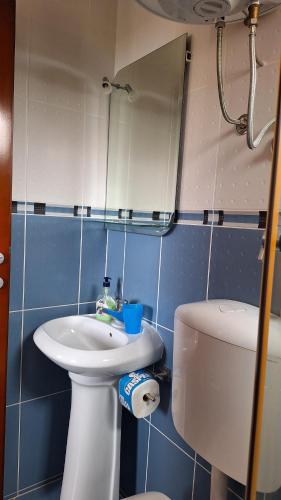 mała łazienka z umywalką i toaletą w obiekcie Apartments Srzentic w Petrovacu na Moru