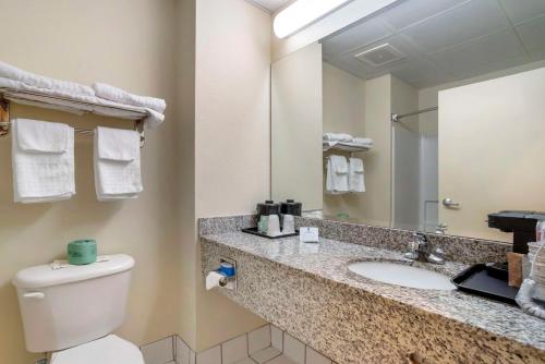 a bathroom with a toilet and a sink and a mirror at Best Western Carowinds in Fort Mill