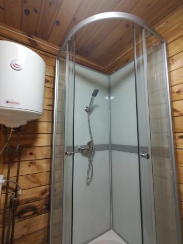a shower with a glass door in a bathroom at Domek w lesie in Aleksandrów