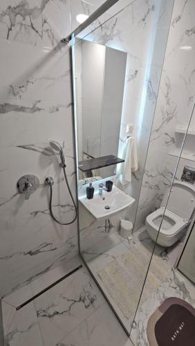 赫尔采格诺维Bella Vista Residence D7的带淋浴、水槽和马桶的浴室