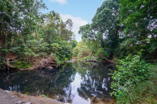 un río en medio de un bosque en Tasman Holiday Parks - Cairns Cool Waters en Cairns
