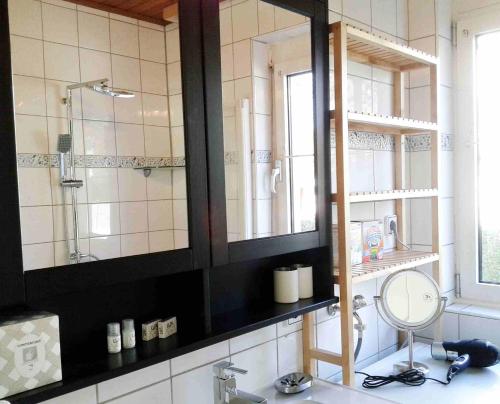 クラーゲンフルトにあるLakeside-Uni-Apartments B&Bのバスルーム(シャワー、鏡付き洗面台付)