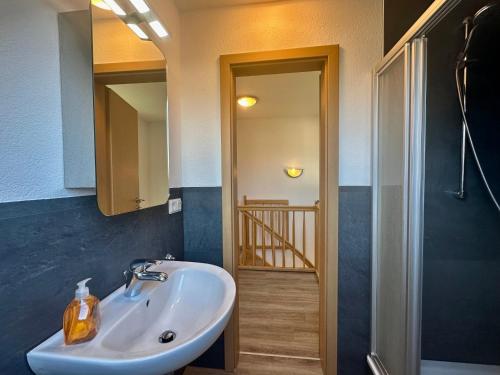 a bathroom with a sink and a mirror at Seehund Feriendoppelhaus "Schäferhund" in Thiessow