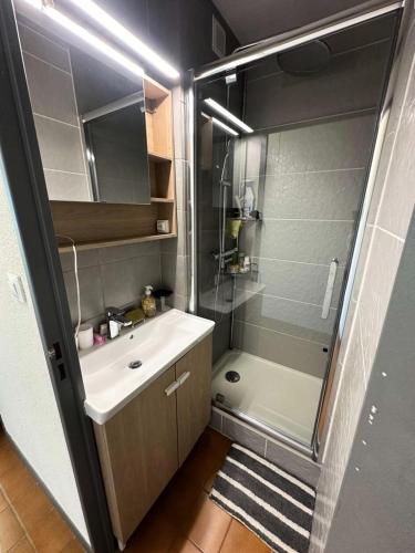 La petite salle de bains est pourvue d'une douche et d'un lavabo. dans l'établissement Résidence Verdon - Magnifique T2, vue mer , à proximité des plages et des commerces MAE-6111, à Six-Fours-les-Plages