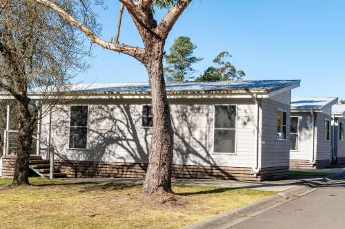 a white house with a tree in front of it at Katoomba Falls Tourist Park in Katoomba