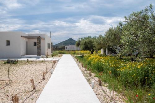 a path leading to a house with a field of flowers at Amouage Studios in Kampos Paros