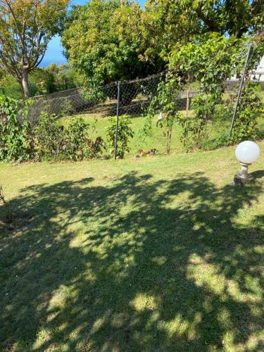 a shadow of a tree on a field with a goal at Chalet Paradis in Saint-Claude