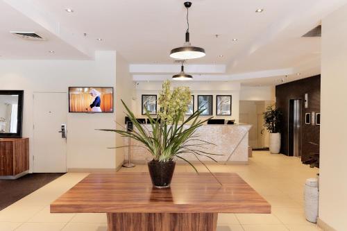 uma sala de estar com uma mesa com uma planta em Central Studio Hotel Sydney em Sydney