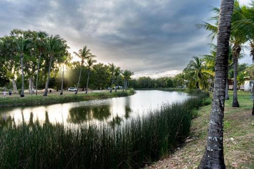RollingstoneにあるTasman Holiday Parks - Rollingstoneの椰子の木が茂る公園内の川
