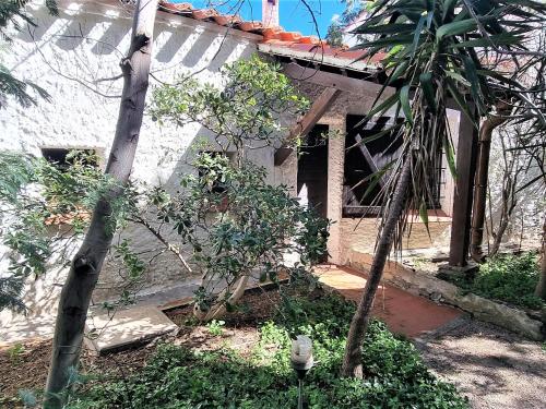 Villa F4 méditerranéenne à Banyuls-sur-Mer, accès crique, 2 terrasses, parking sécurisé - FR-1-309-293