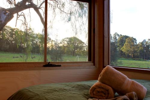 una camera da letto con finestra affacciata su un campo di Hunter Valley Vineyard Cabin by Outpost a Pokolbin