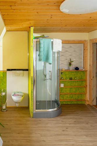 a bathroom with a shower and a toilet at Wohlfühl-Villa in Themar in Themar