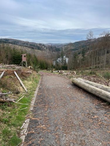a dirt road with logs on the side of the road at Schönes Apartment mit Balkon Aggertalsperre in Bergneustadt