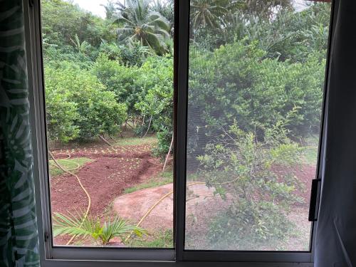 Ein Garten an der Unterkunft Lemon House - Logement entier