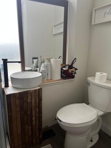 a bathroom with a toilet and a sink and a mirror at Sweet Home in Toronto
