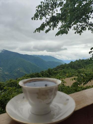 a white bowl on a table with a view of mountains at cottage panorama merisi in Inasharidzeebi