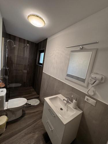 a bathroom with a sink and a toilet and a shower at Casa Croitoru Maramureş in Onceşti